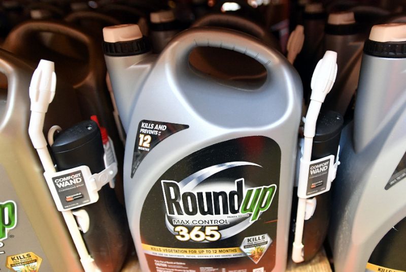 Monsanto launched Roundup in 1976 and soon thereafter began genetically modifying plants, making some resistant to Roundup (AFP Photo/JOSH EDELSON)