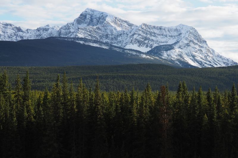 A view of Banff National Park in Canada, where the avalanche took place