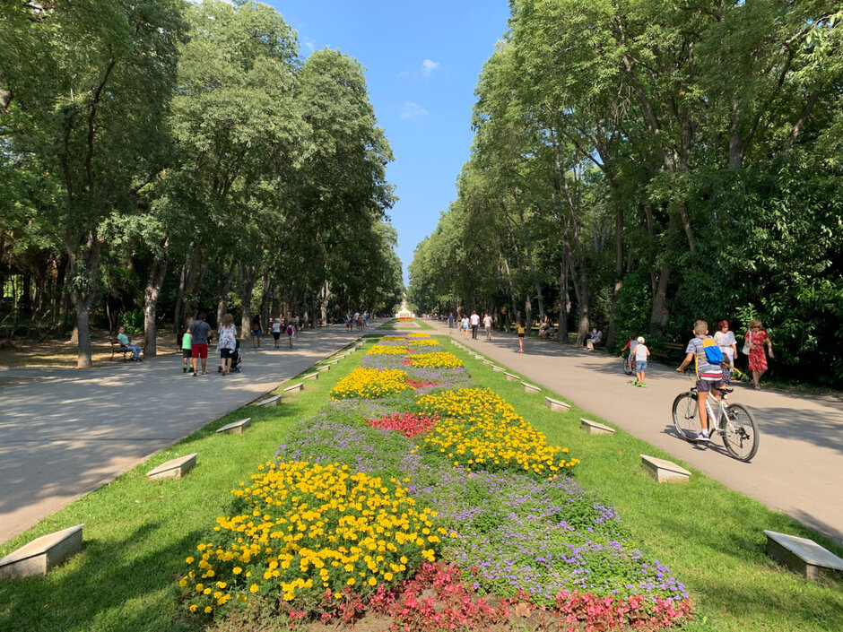 iPhone XS Max - Galaxy Note 10+ barely snags victory against iPhone XS Max and Pixel 3 in camera comparison