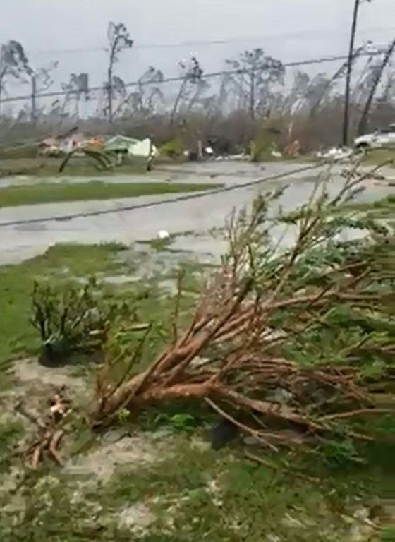 Destroyed trees are seen near houses in Central Pines in Marsh Harbour on Abaco Island in the Bahamas on September 2, 2019 (AFP Photo/Ramond A King)