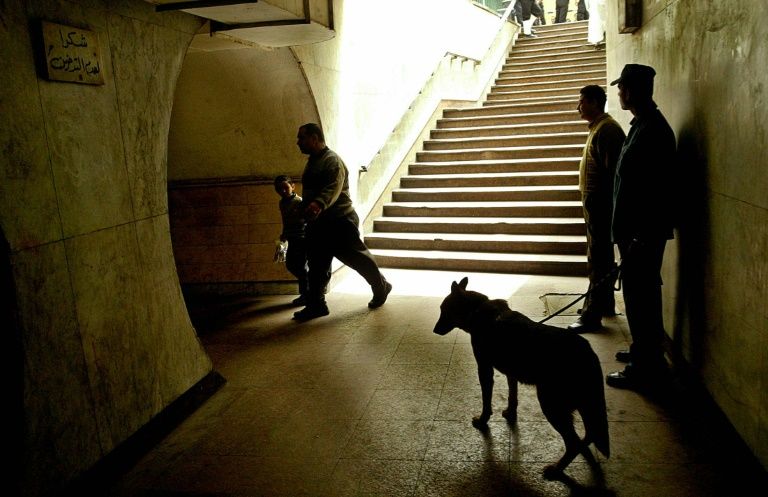 Egyptian policemen are pictured working with an explosive sniffer dog in 2005