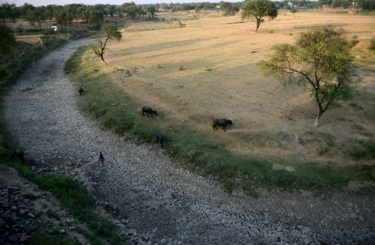 Climat change threatens human food supplies, as shown here in India where a dried up river runs alongside fields