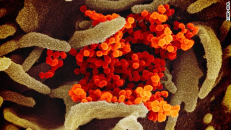 How you and your workplace can protect yourselves from the novel coronavirus