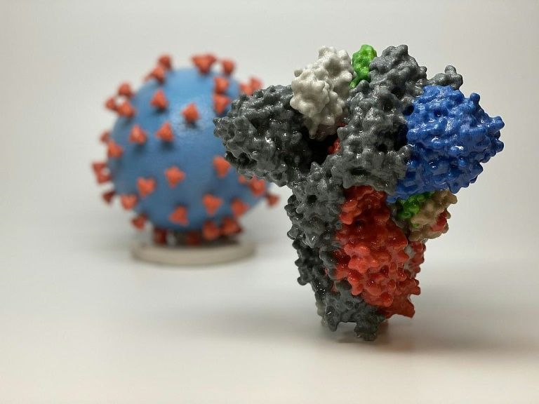 A 3D print of a spike protein of new coronavirus virus, in front of a 3D print of the virus particl