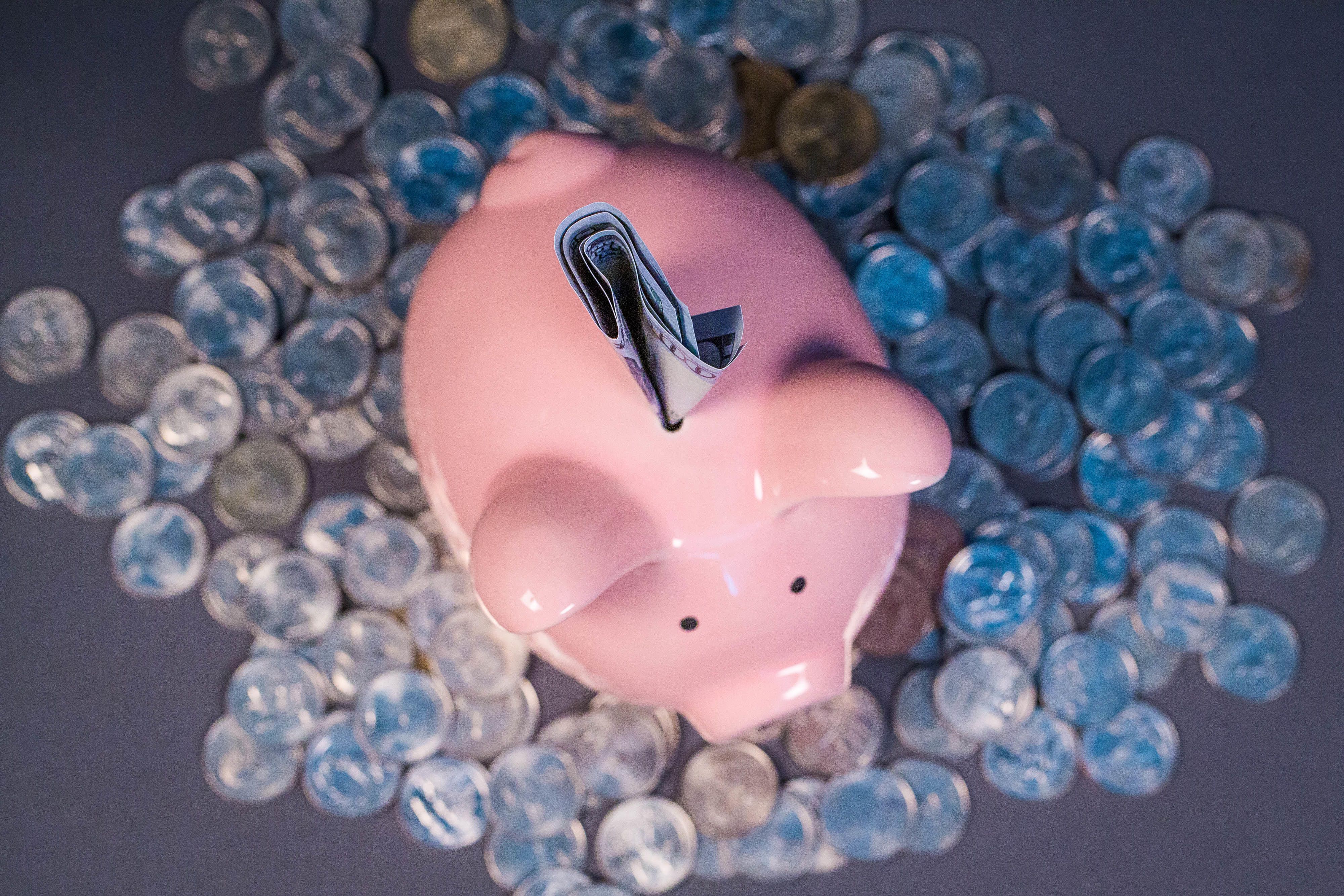 dollars-piggy-bank-2