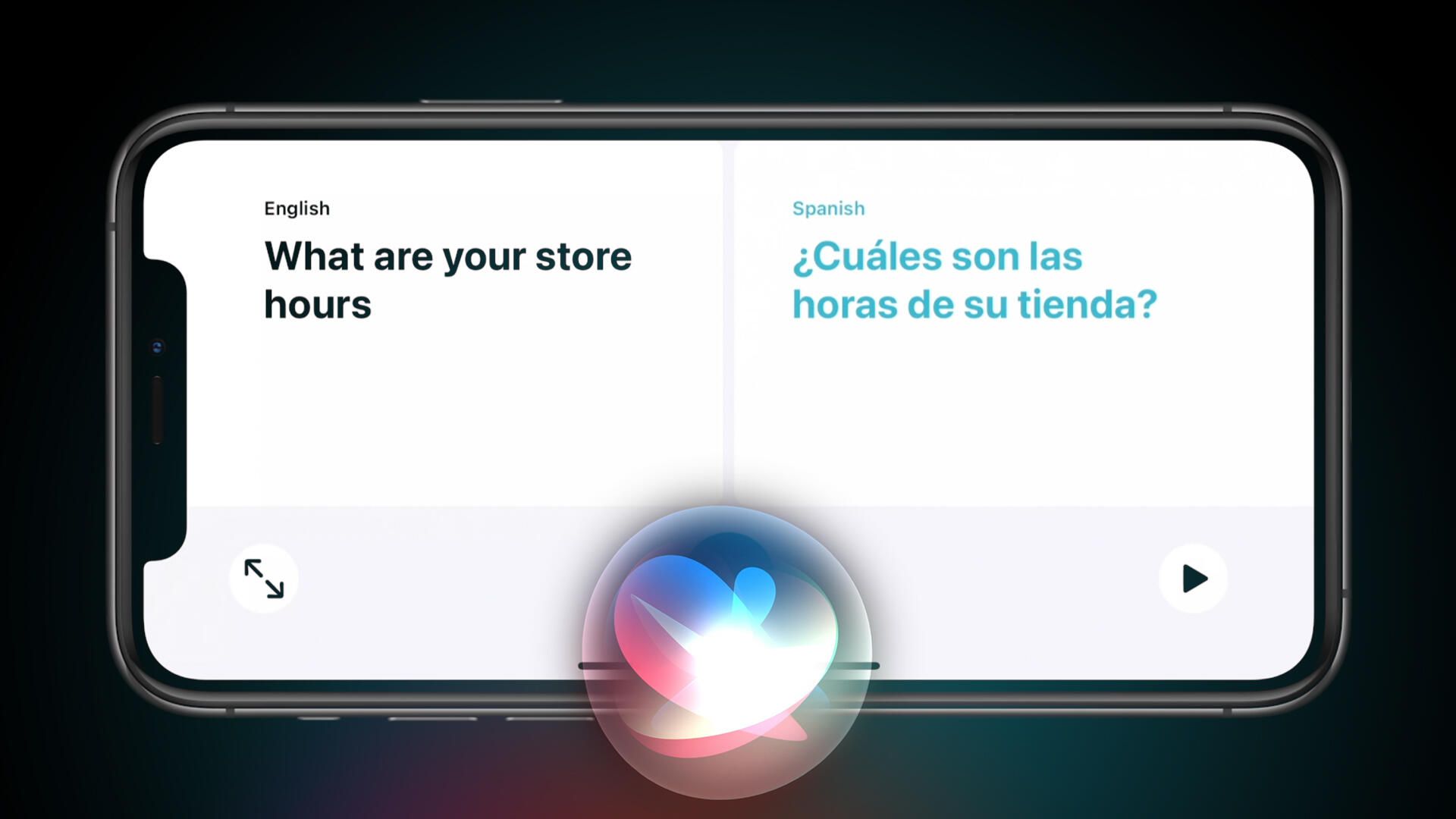 apple-wwdc20-translate