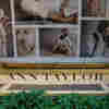 Another Bankruptcy At The Mall: Parent Company Of Ann Taylor, Loft Is Latest To Fail