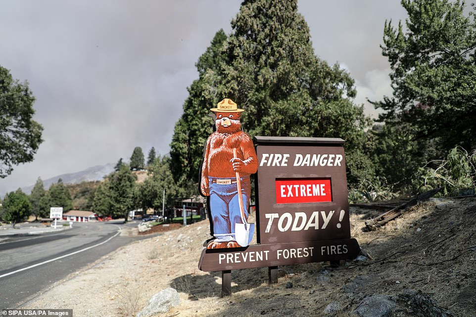 Governor Gavin Newsom has declared a state of emergency as a series of wildfires ravage his state