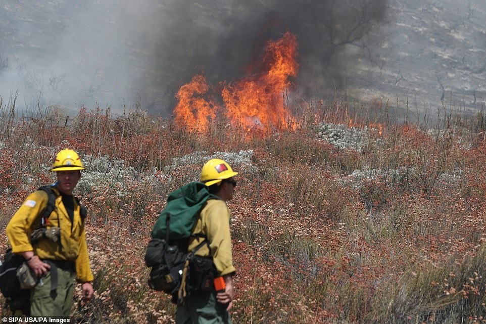 The fire service said that 527 people were working to stop the fire, which has benefited from tinder-dry conditions