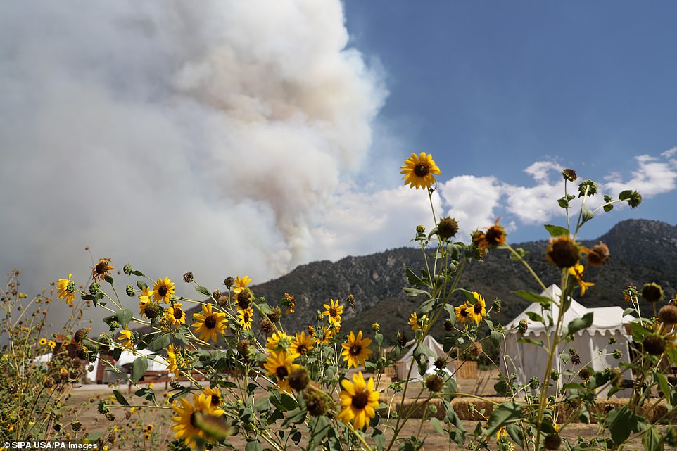 The fire spread rapidly north from where it started at the El Dorado Ranch Park north, onto the Yucaipa Ridge