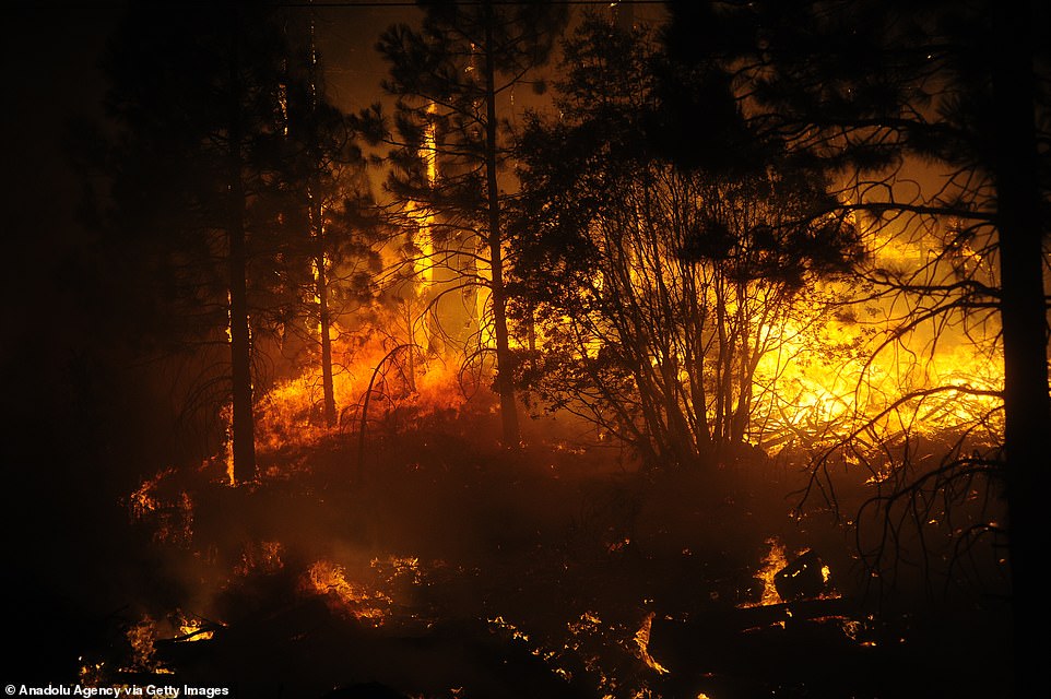 A view of the site of the Creek Fire which started Friday afternoon, blew up and grew to 73,278 acres by Sunday