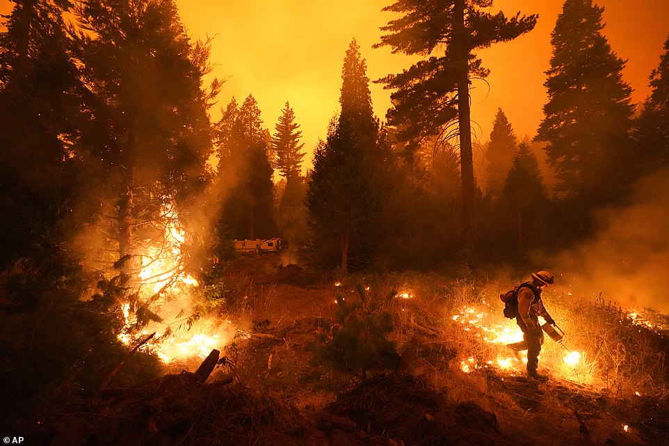 Firefighter Ricardo Gomez, of a San Benito Monterey Cal Fire crew, sets a controlled burn while fighting the Creek Fire