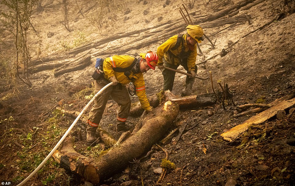 Firefighters work on mopping up a back burn near Leaburg, Oregon, on Thursday. A dearth of resources has hampered the fight against the Holiday Farm Fire