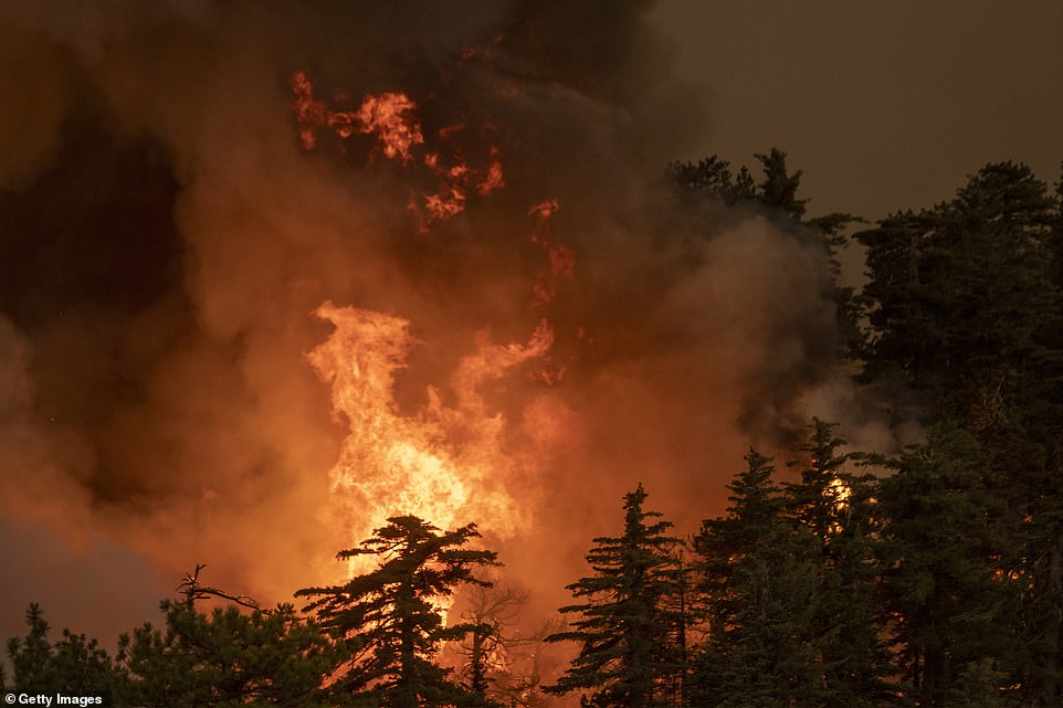 The Bobcat Fire consumes a forest in the Angeles National Forest on Thursday north of Monrovia, California