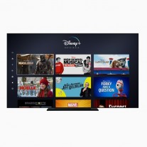 Disney+