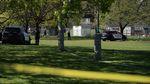 Two police cars and several officers are visible in a grassy park on a sunny day.