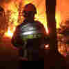 Thousands Of People Flee A Wildfire Near The French Riviera During Vacation Season