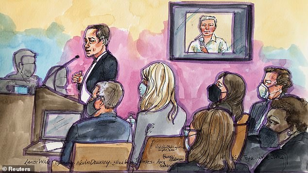 Holmes's defence lawyer, Lance Wade, says she is guilty of nothing more than being an ambitious, perhaps naïve young woman who set out to 'change the world'