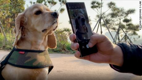 Smartphones, laptops and oddball gadgets: CES 2022 showcases tech's latest innovations