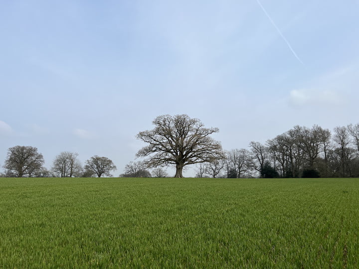 iPhone 13 Pro photo of fields.