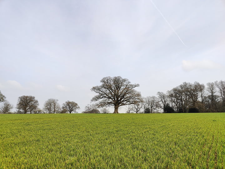 OnePlus 10 photo of fields.
