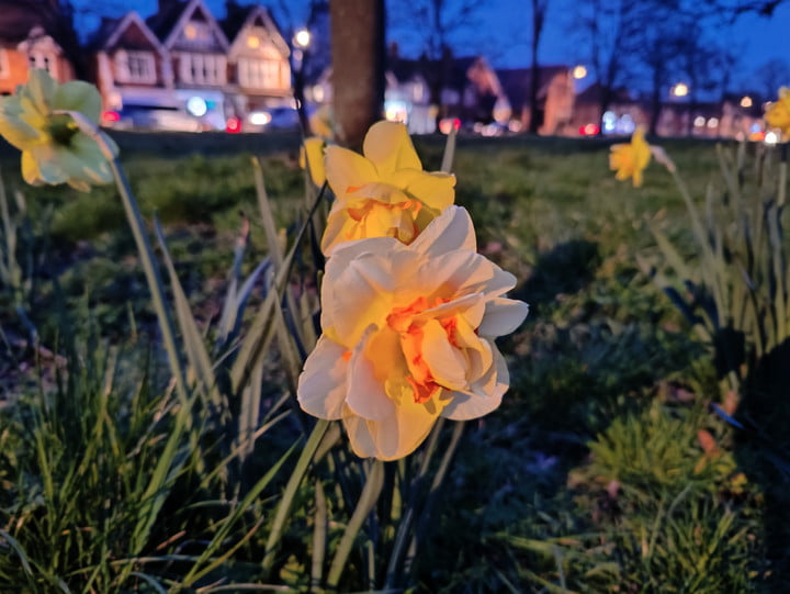 OnePlus 10 Pro Night mode photo.