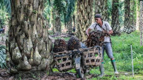 Palm oil is in half your groceries. Here's why prices might shoot up