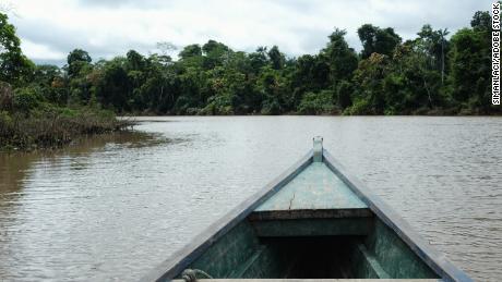 Javari valley, Amazon, Brazil, February 15, 2016