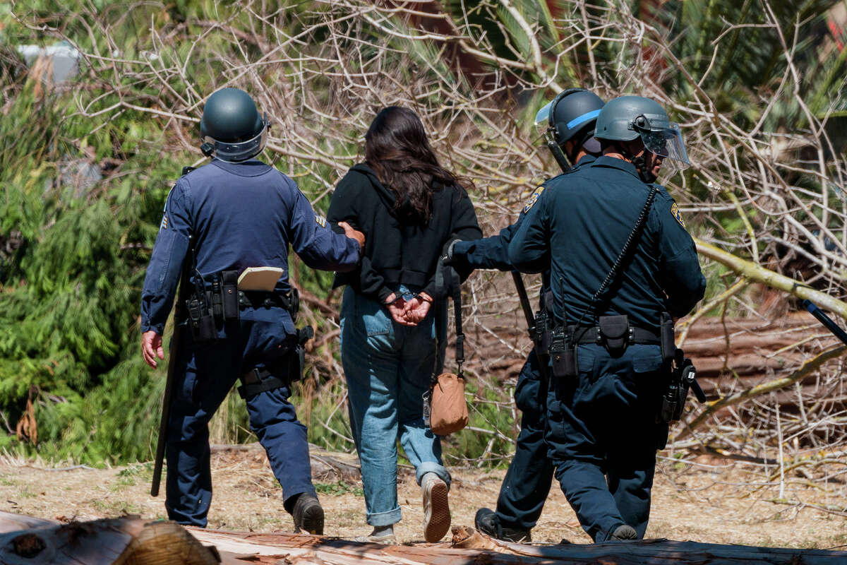 A protester is led away by police after being detained during a protest at People's Park in Berkeley, Calif., on Wednesday, Aug. 3, 2022.