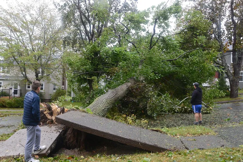 Pedestrians survey the damage in Sydney, N.S. as post tropical storm Fiona continues to batter the Maritimes on Saturday, Sept. 24, 2022.