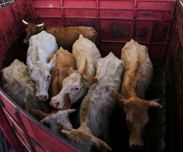 (Fernando Llano/Associated Press)