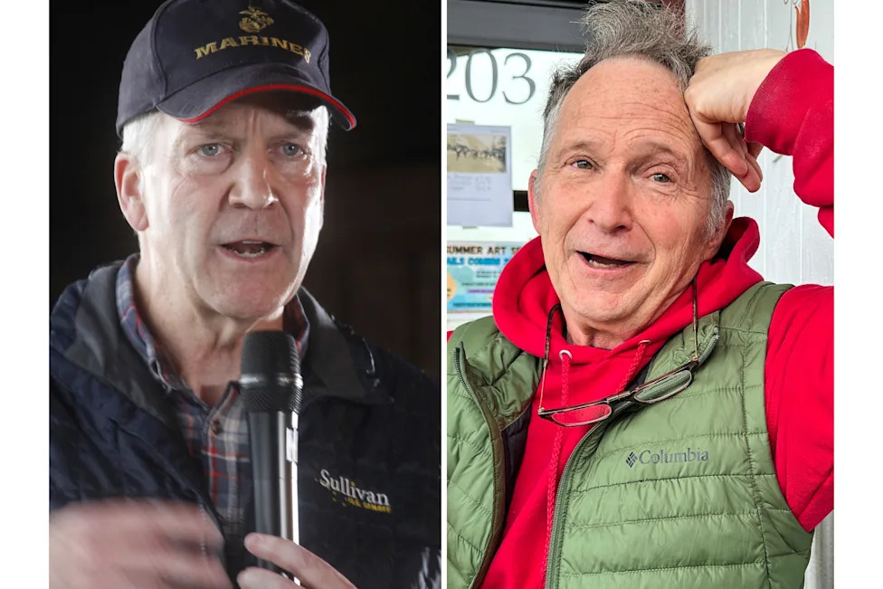 Election 2026 Alaska Senate