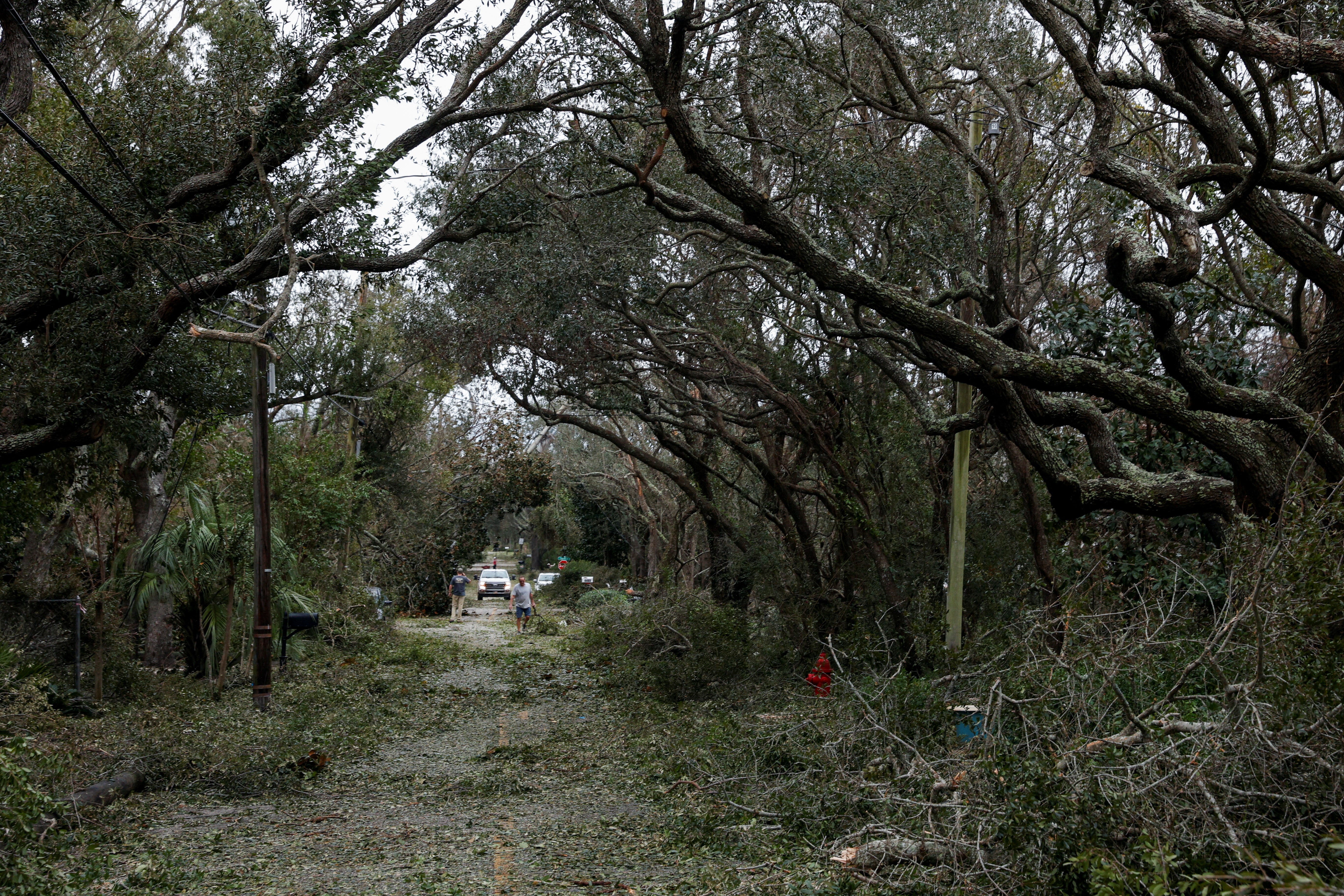 Fallen branches lie on a road in the aftermath of Hurricane Isaias in Navarre, Florida, US, October 10, 2026. REUTERS/Marco Bello